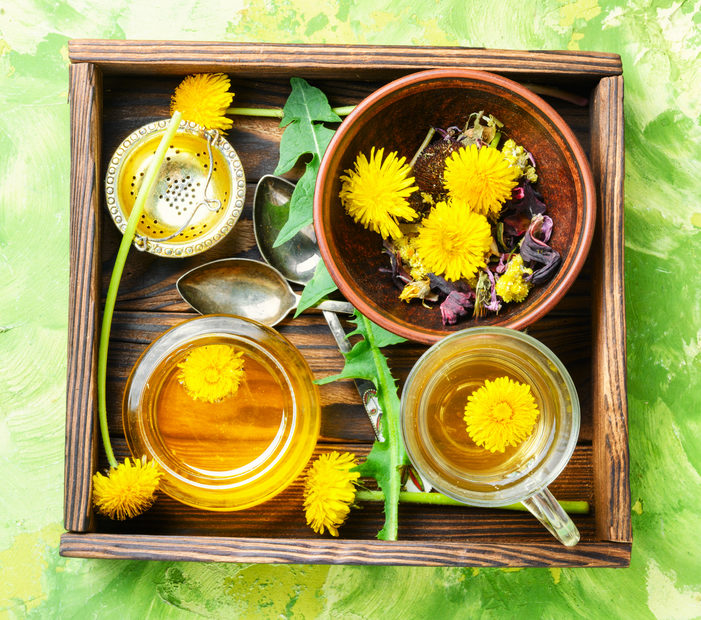 Löwenzahn auf Tablett mit Tee