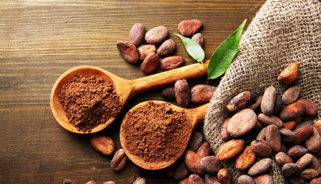 Kakaobohnen auf Leinensack und Kakaopulver auf Holzlöffeln