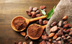 Kakao Pulver und Kakao Bohnen au Holzlöffeln