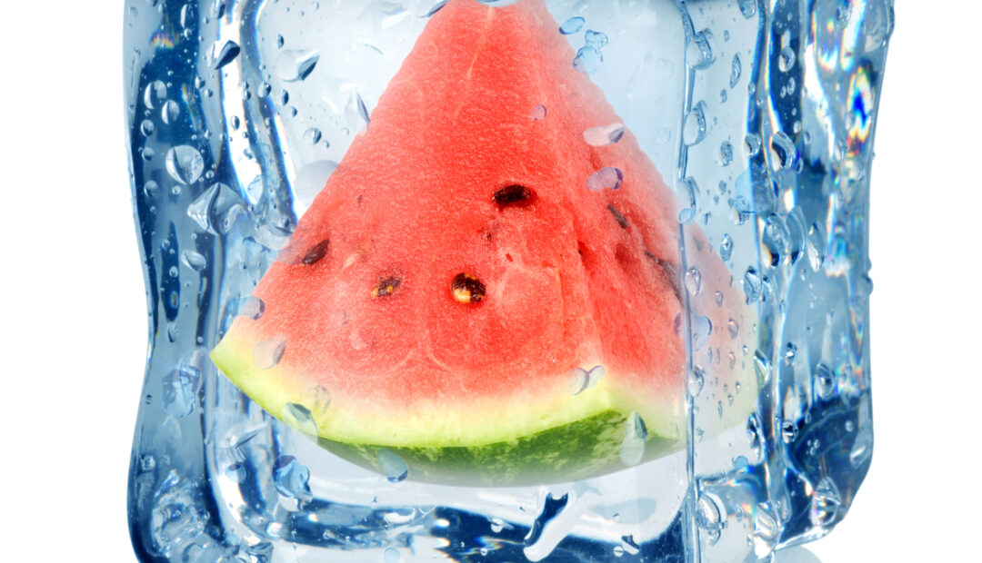 Stück einer Wassermelone im Eiswürfel