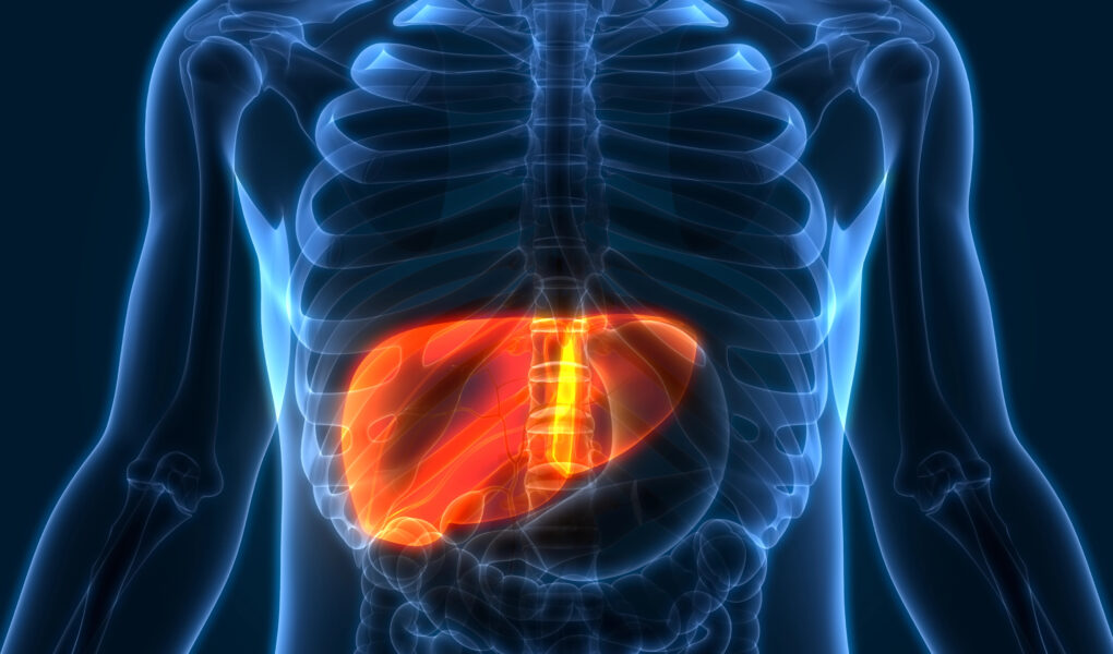 Dunkler HIntergrund, Mensch als Röntgenaufnahme im Vordergrund mit rot hervorgehobener Leber